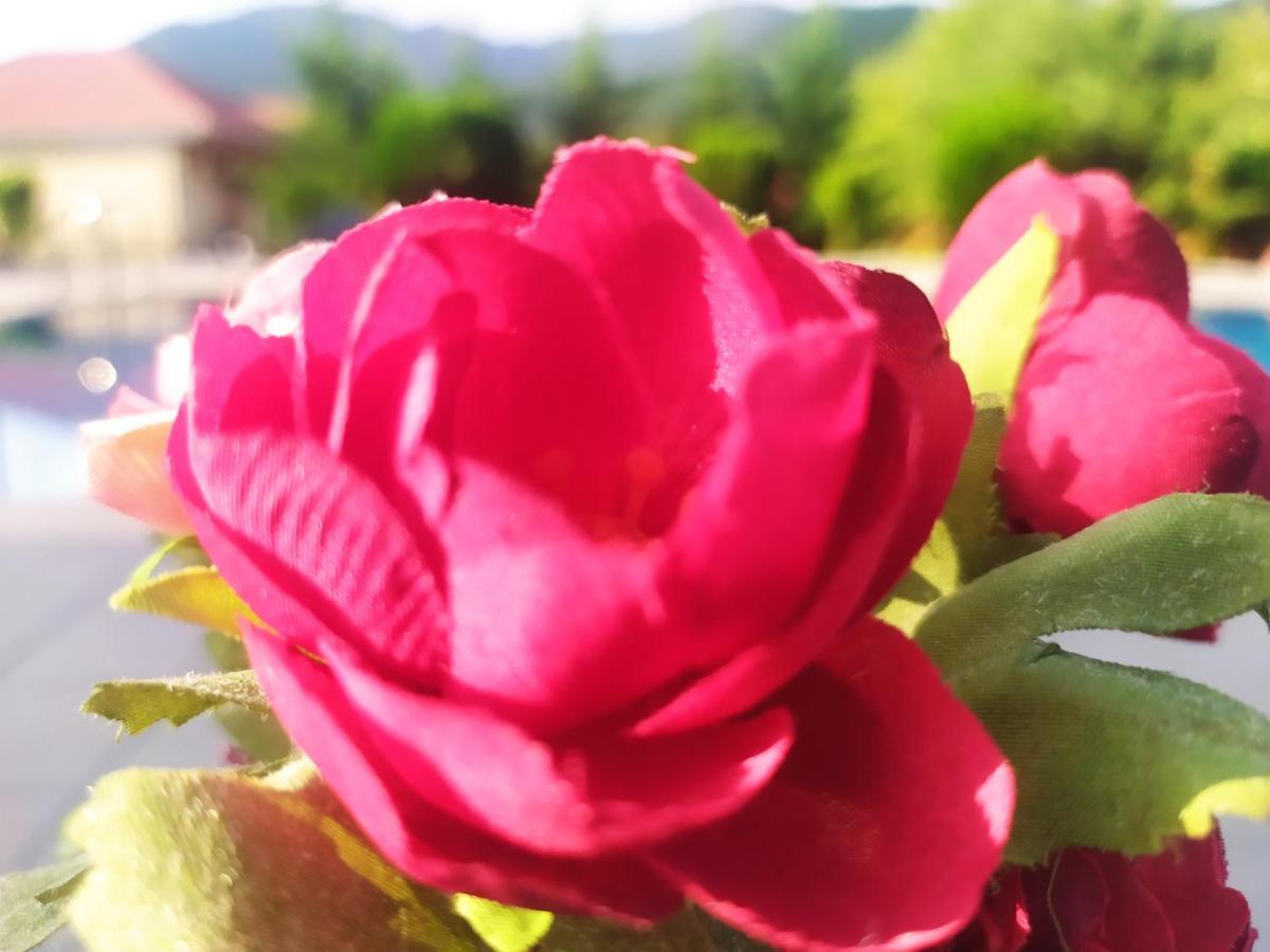 Bliss Hotel Gabala Buitenkant foto